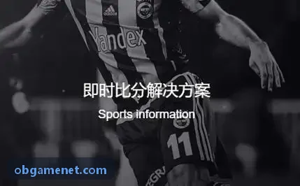OB数据大盘示意图